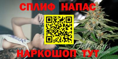 mdma Можга
