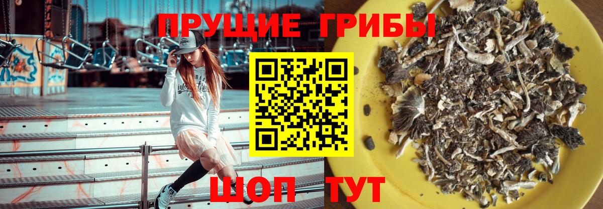магазин продажи   Вход с VPN  Белово  Галлюциногенные грибы GOLDEN TEACHER 