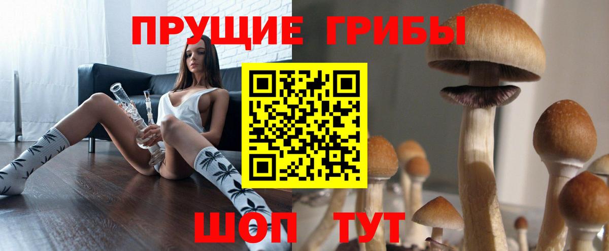 Псилоцибиновые грибы Magic Shrooms Белово